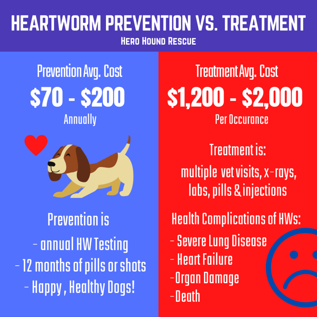 What Is The Cost Of Treating A Dog With Heartworms