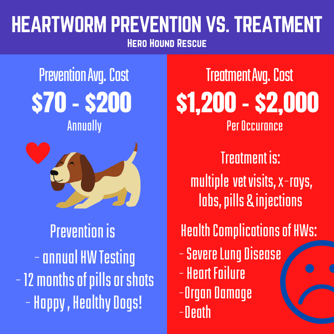Heartworm Prevention is a MUST! Hero Hound Rescue